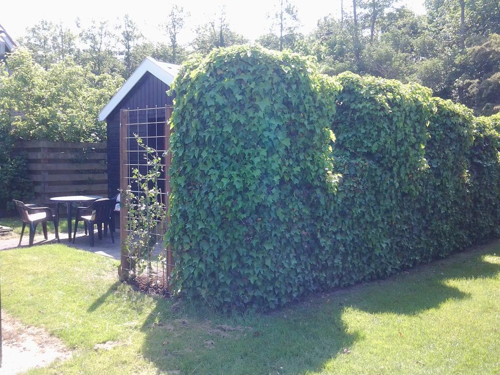 Bed & Breakfast Meinsma Moddergat ภายนอก รูปภาพ