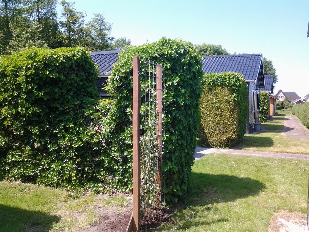 Bed & Breakfast Meinsma Moddergat ภายนอก รูปภาพ